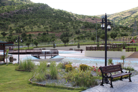 AMEDY PARK