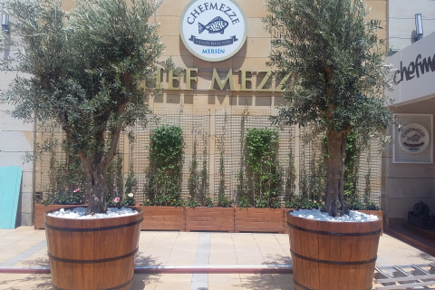 CHEF MEZZE