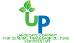 UP LANDSCAPE & CONSTRUCTION